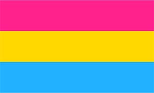 Pansexual flag