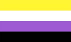 Non-binary Flag