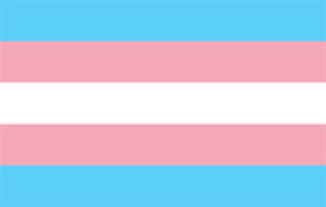 Transgender Pride flag