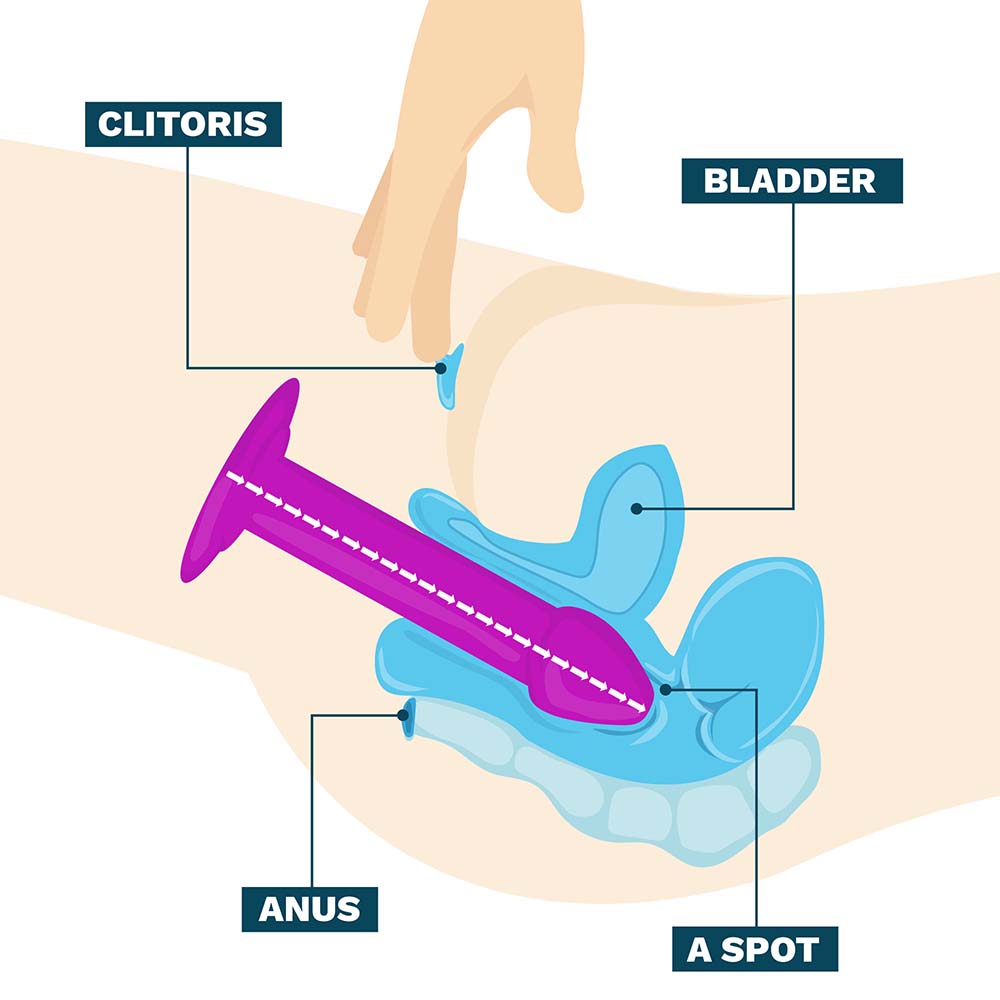 Female anatomy showing how to use a pink dildo
