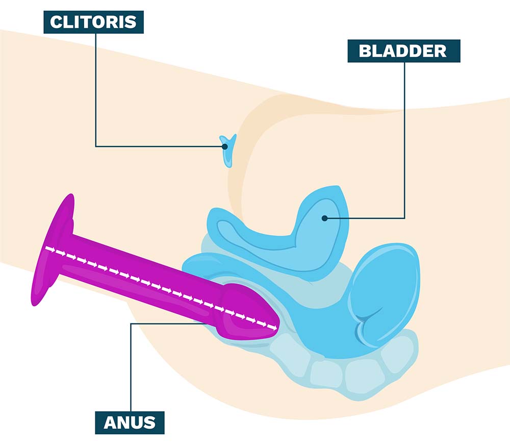 The Anatomy of Extreme Anal Insertion