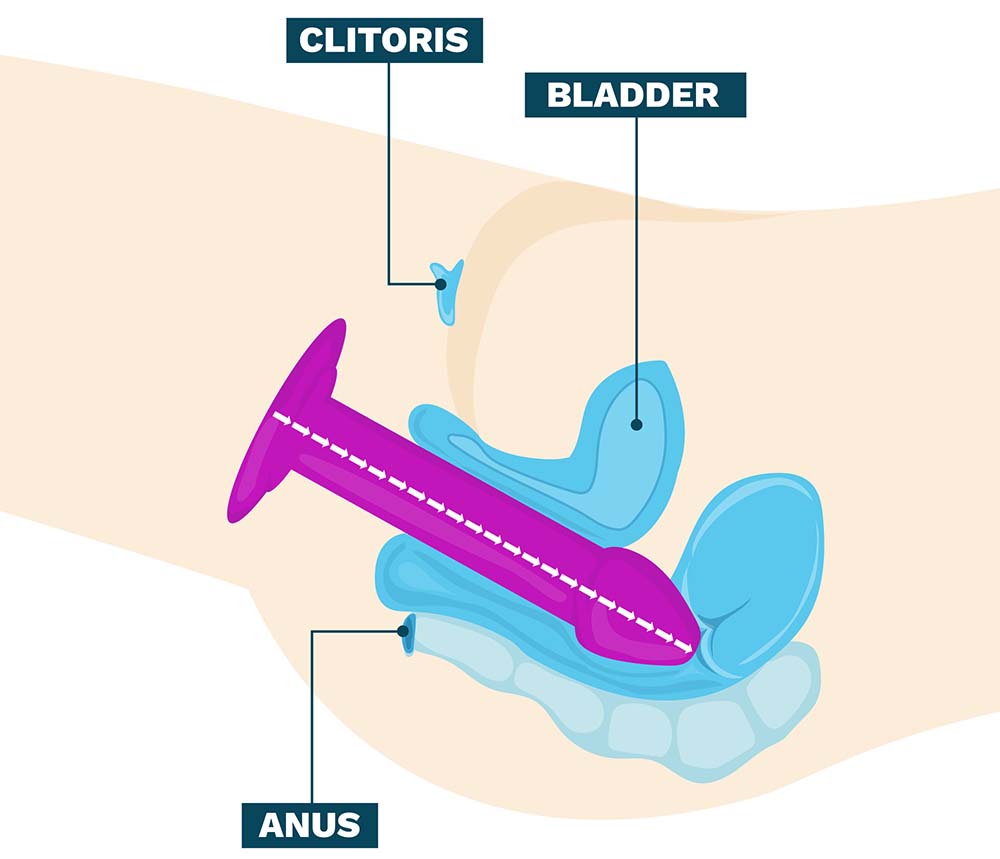 Instruction how to insert a black dildo into a vagina (illustration)
