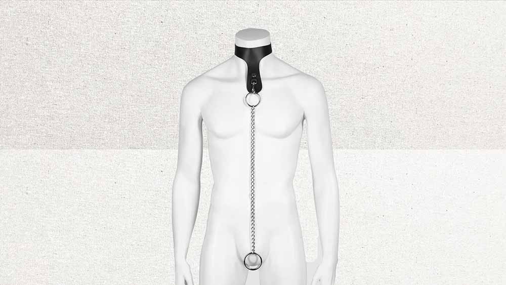 DOMINIX Deluxe Leather Collar with Cock Ring