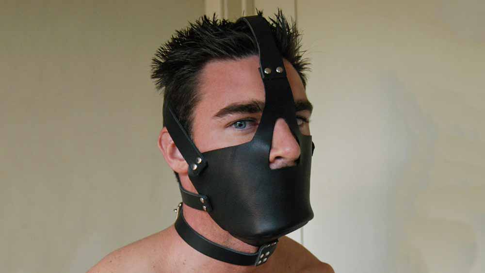 Stockroom's Leather Head Harness With Muzzle