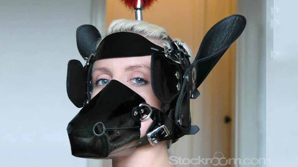 Stockroom’s Pony Head Bridle