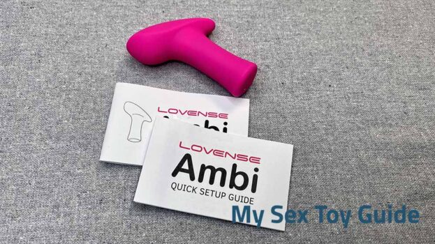 Ambi with the instruction manual and quick setup guide