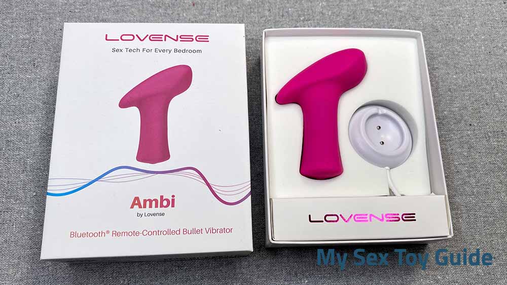 Lovense Ambi inside the box