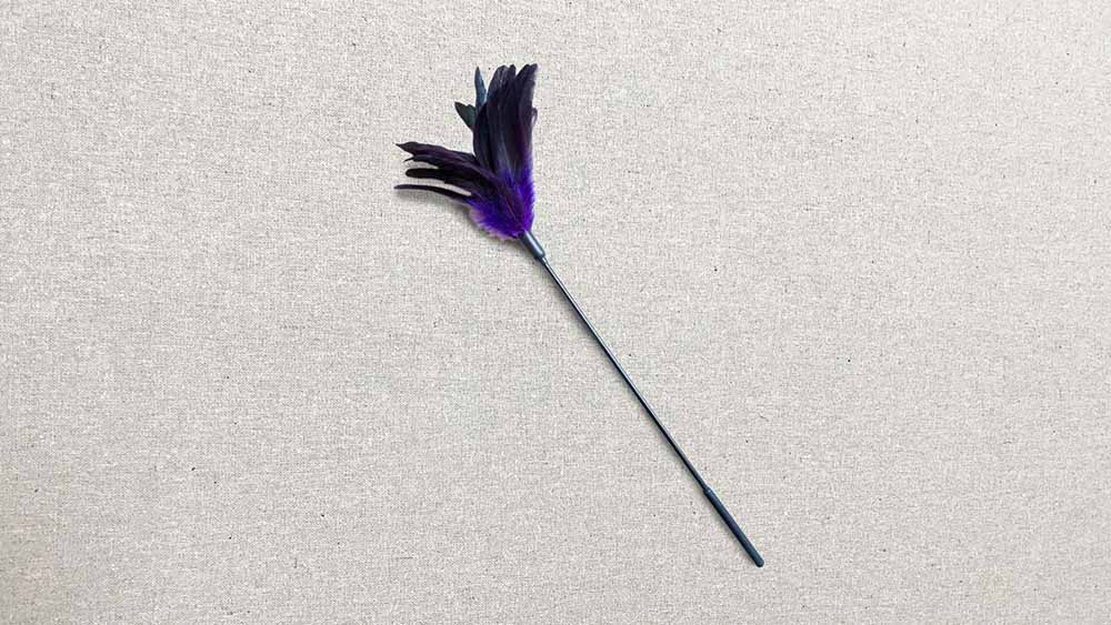  Stockroom Starburst Feather Tickler