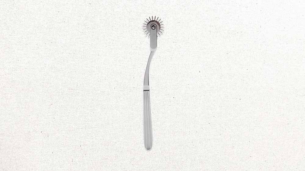 Bondage Boutique's Stainless Steel Wartenberg Pinwheel