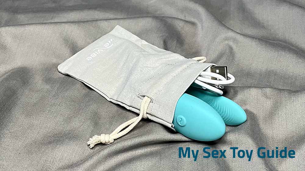 We-Vibe Sync Lite inside the storage pouch
