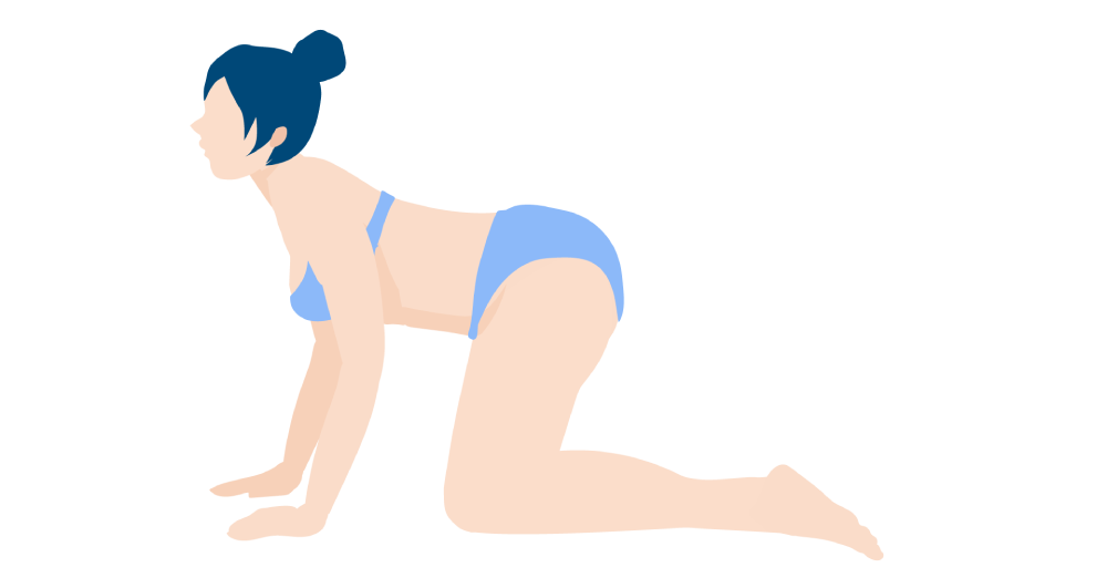 Cat and Cow Pose