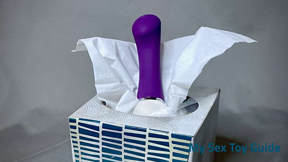 Lelo Gigi 3