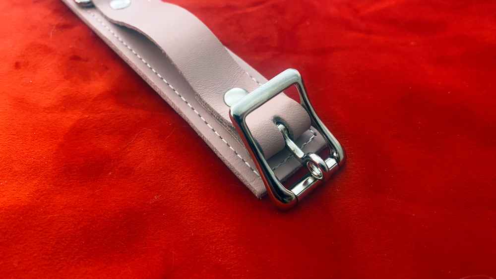Closeup of the buckle