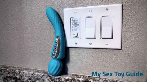 Lelo Switch