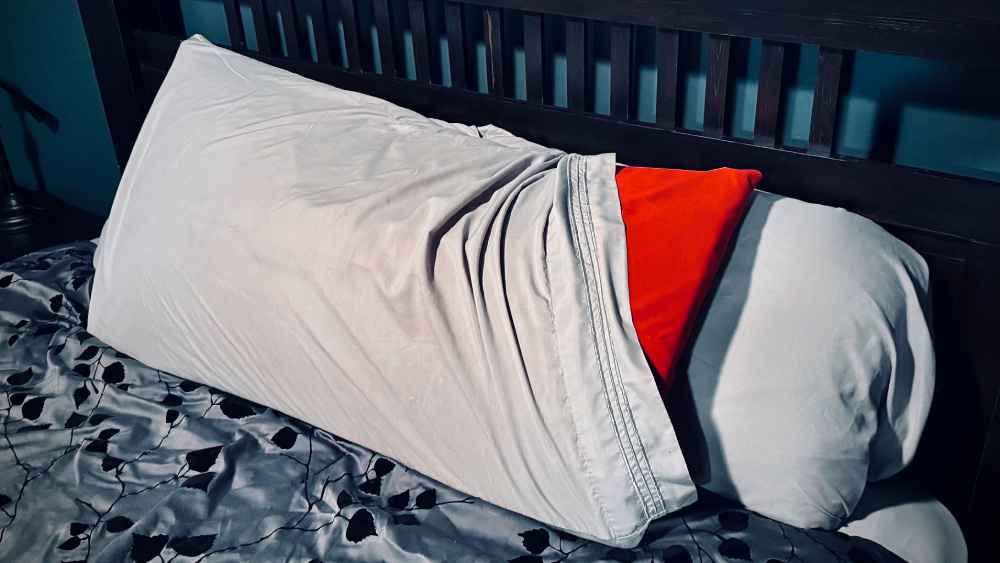 Liberator Humphrey inside a standard pillowcase