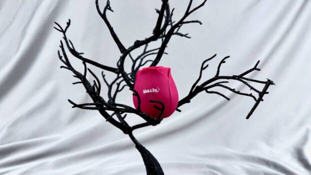 Eve’s Ravishing Suction Rose
