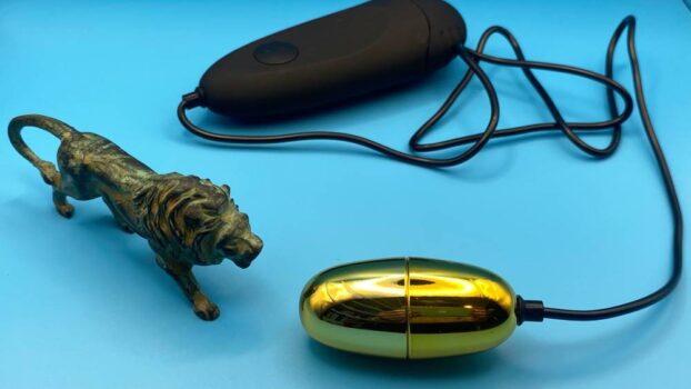 Lovehoney Power Play 7 Function Love Egg Vibrator