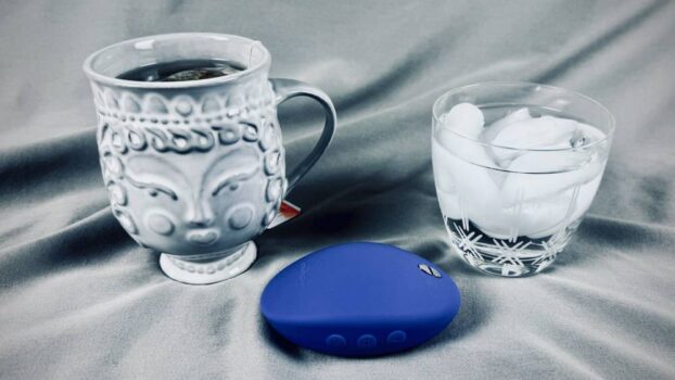 We-Vibe Temp
