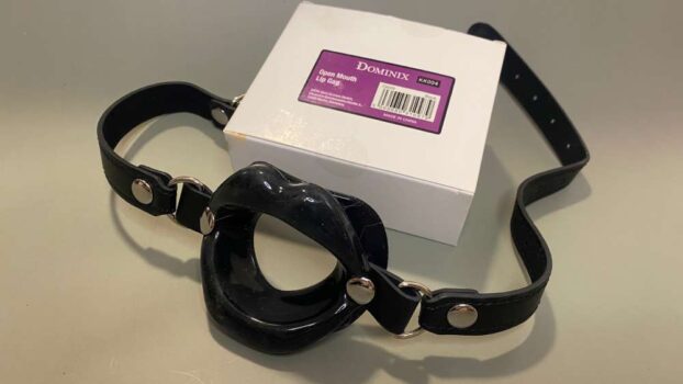 DOMINIX Deluxe Open Mouth Lip Gag