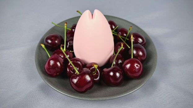 iroha SAKURA