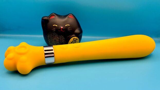 PikaVibe Kitty Magic Wand