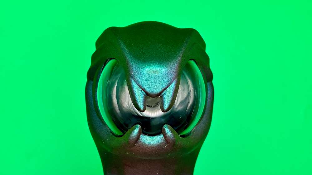 The snake head seen from the front